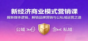 新经济商业模式营销课,握新媒体逻辑,解锁品牌营销与公私域运营之道-圆梦资源站