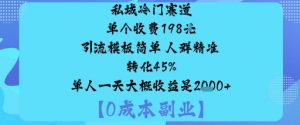私域冷门赛道:单个收费198米引流模板简单人群精准转化45%单人一天大概收益是1k+-圆梦资源站