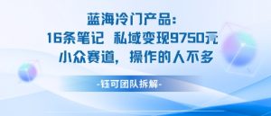 蓝海项目:16条笔记私域变现9750米小众赛道操作的人不多-圆梦资源站