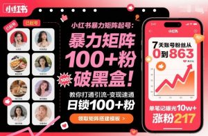 小红书暴力矩阵起号,教你打通引流-变现速通,日锁100+粉,破流量黑盒-圆梦资源站