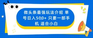 微头条最强玩法介绍一个号日入5张+只要一部手机适合小白-圆梦资源站