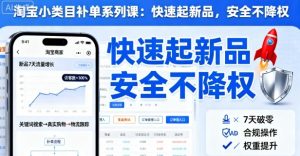 淘宝小类目补单系列课,快速起新品,安全不降权-圆梦资源站