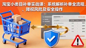 淘宝小类目补单实战课:系统解析补单全流程、降权风险及安全操作-圆梦资源站