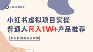 小红书虚拟项目实操指南,普通人月入1W+产品推荐,直接抄-圆梦资源站