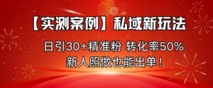 【实测案例】私域新玩法,日引30+精准粉,转化率50%,新人照做也能出单!-圆梦资源站