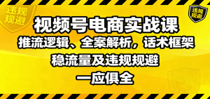 视频号电商实战课:推流逻辑、全案解析,话术框架,稳流量及违规规避等-圆梦资源站