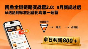 闲鱼变现课3.0:掌握链接优化、流量提升、商业变现,单日利润800+-圆梦资源站