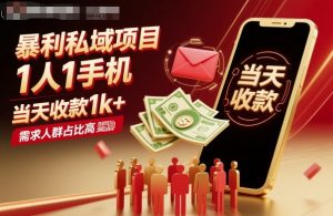 暴利私域项目1人1手机,当天收款1k+,需求人群占比高,当天就能见到钱-圆梦资源站
