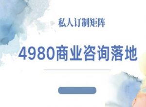 4980商业咨询师落地课程-ip运营高客单教程-圆梦资源站
