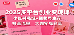 2025多平台创业变现课:小红书私域+视频号生存+抖音流量,大咖实战分享-圆梦资源站