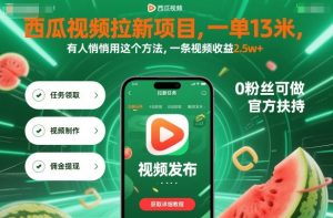 西瓜视频拉新项目,一单13米,有人悄悄用这个方法,一条视频收益2.5w+(附详细教程)-圆梦资源站