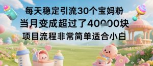 每天稳定引流30个宝妈粉当月变成超过了1W+项目流程非常简单适合小白-圆梦资源站