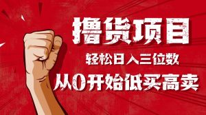 手把手教你撸货,从0开始低买高卖,小白轻松实现日入三位数!!!-圆梦资源站