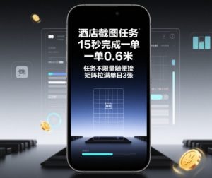 酒店截图任务,15秒完成一单,一单0.6米,任务不限量随便接,矩阵拉满单日3张【揭秘】-圆梦资源站