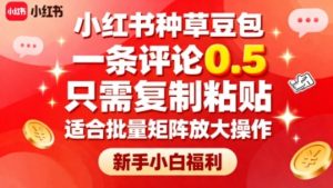 小红书种草豆包,一条评论0.5,只需复制粘贴,适合批量矩阵放大操作,新手小白福利-圆梦资源站