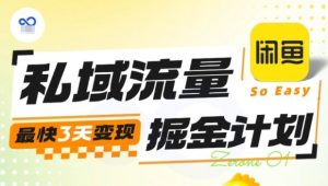 私域流量掘金计划实战训练营，最快3天变现-圆梦资源站