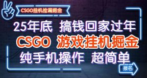 25年底搞钱回家过年，CSGO游戏挂机掘金，纯手机操作超简单-圆梦资源站