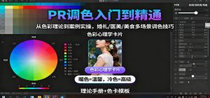 PR调色入门到精通：从色彩理论到案例实操，婚礼/医美/美食多场景调色技巧-圆梦资源站