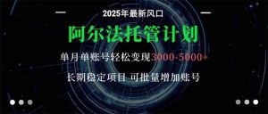 阿尔法托管计划 单账号月入3000-5000,长期稳定项目,新手小白轻松上手。-圆梦资源站