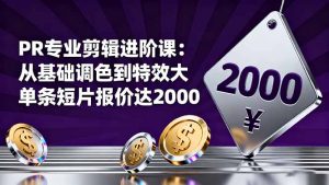 PR专业剪辑进阶课:从基础调色到特效大片的进阶技能,单条短片报价达2000-圆梦资源站