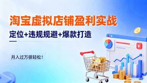 淘宝虚拟店铺盈利实战：定位+违规规避+爆款打造，月入过万很轻松！-圆梦资源站