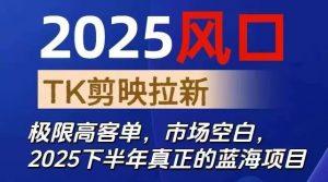 2025风口TK剪映capcut拉新项目，极限高客单，市场空白，2025下半年真正的蓝海项目-圆梦资源站