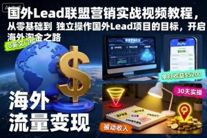 国外Lead联盟营销实战视频教程，从零基础到独立操作国外Lead项目的目标，开启海外淘金之路-圆梦资源站