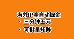 海外ip全自动掘金，2025必做蓝海项目，3分钟落地，矩阵直接开干【揭秘】-圆梦资源站