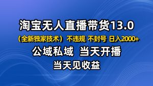 淘宝无人直播13.0,公域私域技术,不封号,不违规 布局下半年旺季赛道,日入2000+-圆梦资源站