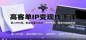 高客单IP变现线下大课：素人IP打造，美业流量方法论，销转模型，脚本与拍摄剪辑-圆梦资源站
