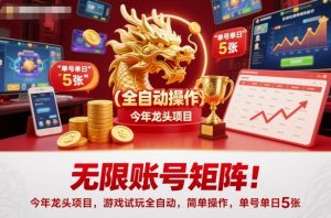 无限账号矩阵!今年龙头项目,游戏试玩全自动,简单操作,单号单日5张【揭秘】-圆梦资源站