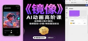 《镜像》AI动画高阶课：全网爆火短片复刻，音频驱动+分镜+特效叠加技法-圆梦资源站