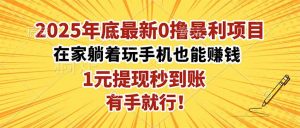 2025年底最新0撸暴利项目，在家也能躺赚，1元秒提现，有手就行！-圆梦资源站