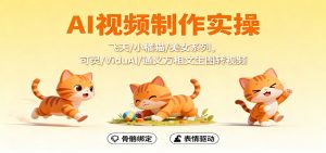 AI视频制作实操,飞天/小橘猫/美女系列,可灵/ViduAl/通义万相文生图转视频-圆梦资源站