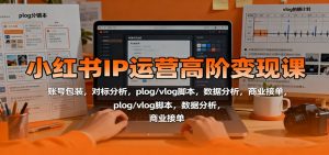 小红书IP运营高阶变现课：账号包装，对标分析，plog/vlog脚本，数据分析，商业接单-圆梦资源站