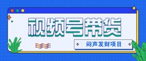 微信视频号带货项目，轻松日赚赚2000+，这个挣钱入口很多伙伴都在闷声发财-圆梦资源站