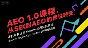 AEO 1.0 课程,从SEO到AE0的基命性转变,手把手教会你用AnswerEngineOptimization技术抢回流量(更新)-圆梦资源站