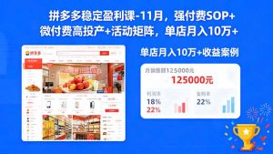 拼多多稳定盈利课-11月，强付费SOP+微付费高投产+活动矩阵，单店月入10万+-圆梦资源站