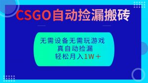 CSGO自动捡漏搬砖,当天操作当天见结果,无需了解游戏,包教包会包落地-圆梦资源站