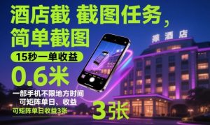酒店截图任务,简单截图,15秒一单收益0.6米,一部手机不限地方时间,可矩阵单日收益3张【揭秘】-圆梦资源站