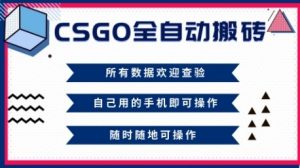 CSGO全自动搬砖,年底钱回家好项目,当天可拿到结果,新手小白轻松月入1W+【揭秘】-圆梦资源站