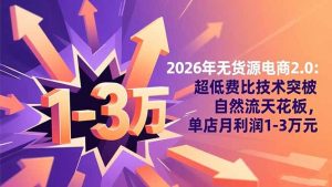 2026年无货源电商2.0:超低费比技术突破自然流天花板,单店月利润1-3万元-圆梦资源站