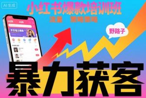 小红书爆款培训班,小红书获客野路子流量打法,暴力持续获客-圆梦资源站