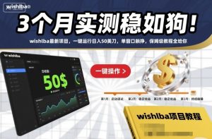 3个月实测稳如狗!wishlba最新项目,一键运行日入50美刀,单窗口躺挣,保姆级教程全给你【揭秘】-圆梦资源站