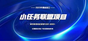 小任务联盟项目:一台电脑每天只需10分钟,轻松简单稳定-圆梦资源站