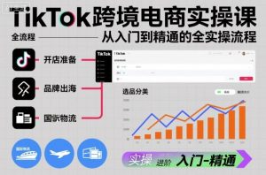 TikTok跨境电商实操课，从入门到精通的全实操流程-圆梦资源站
