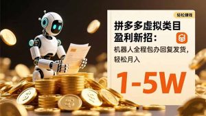 拼多多虚拟类目盈利新招:机器人全程包办回复发货,轻松月入 1-5W-圆梦资源站