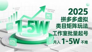 2025 拼多多虚拟类目矩阵玩法，工作室批量起号，月入 1-5W 不难-圆梦资源站