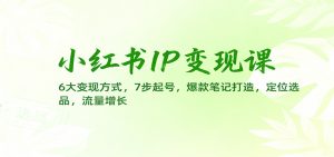 小红书IP变现课:6大变现方式,7步起号,爆款笔记打造,定位选品,流量增长-圆梦资源站