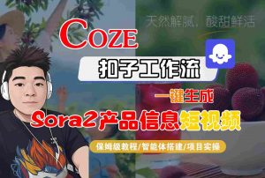 Coze扣子智能体工作流一键生成“SORA2产品信息“短视频,全流程保姆级教学-圆梦资源站